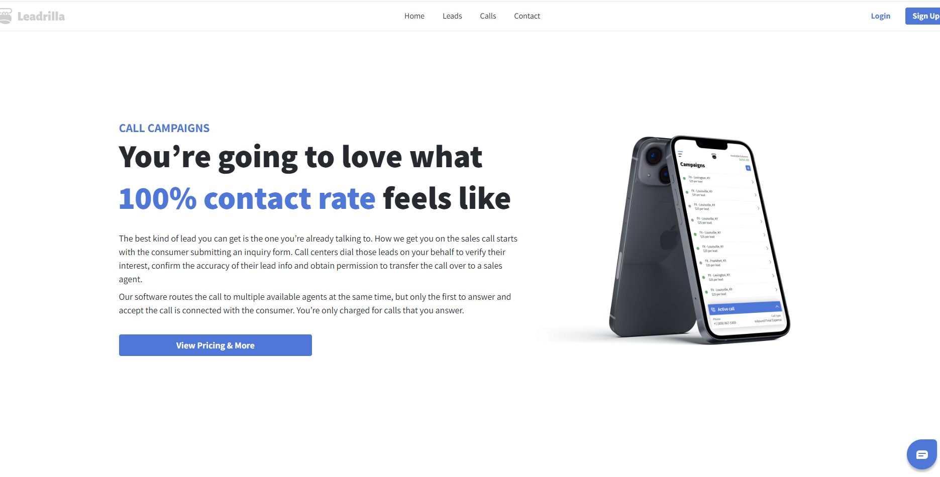 Leadrilla website preview image